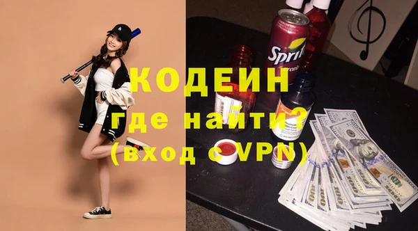 дурь Инта